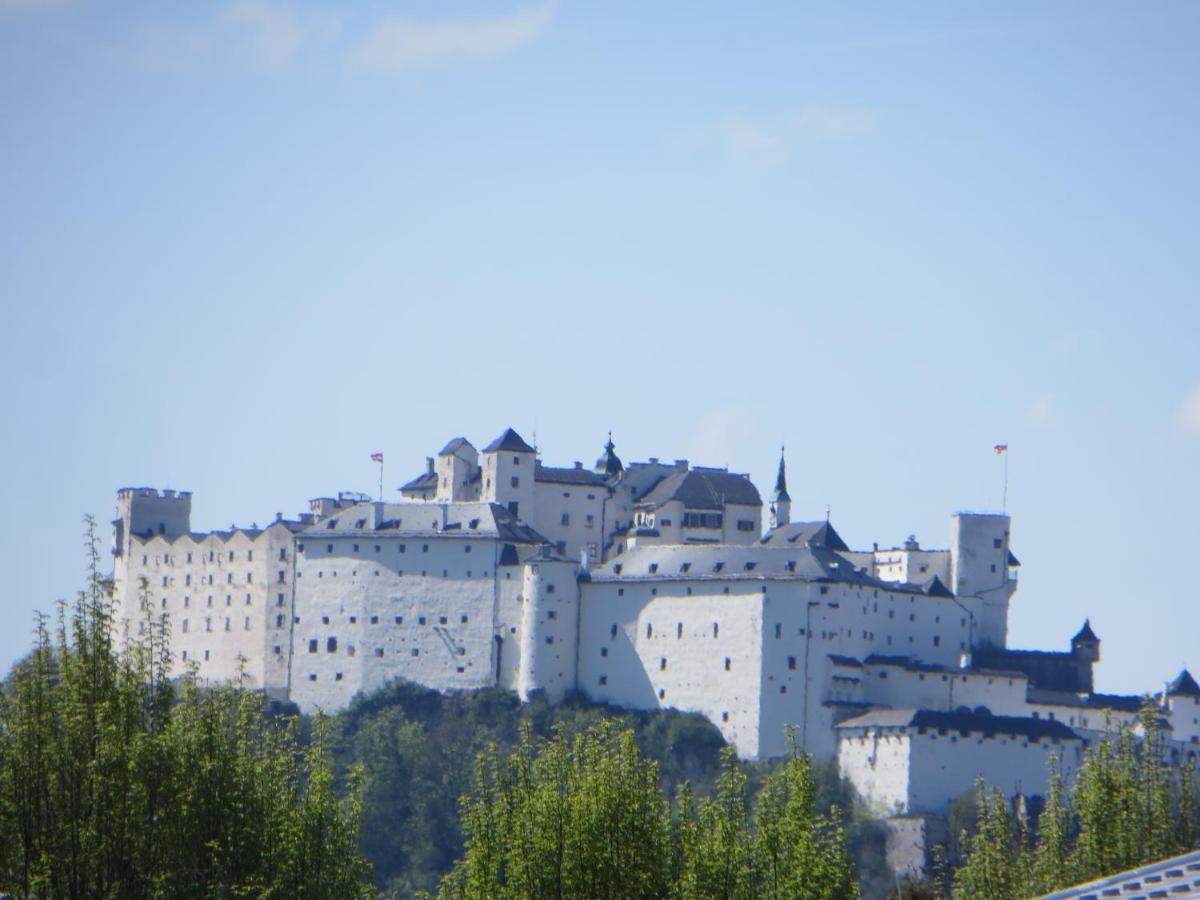 Premium City Apartment Amadeus Salzburg Eksteriør bilde